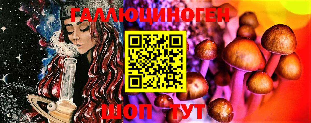 Архангельск  Псилоцибиновые грибы Psilocybe  Вход с VPN  Псилоцибиновые грибы прущие грибы 